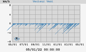 Wind Vector